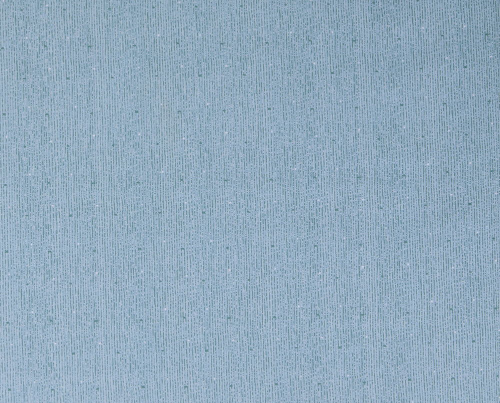 Постельное белье СайлиД BP-159 сатин