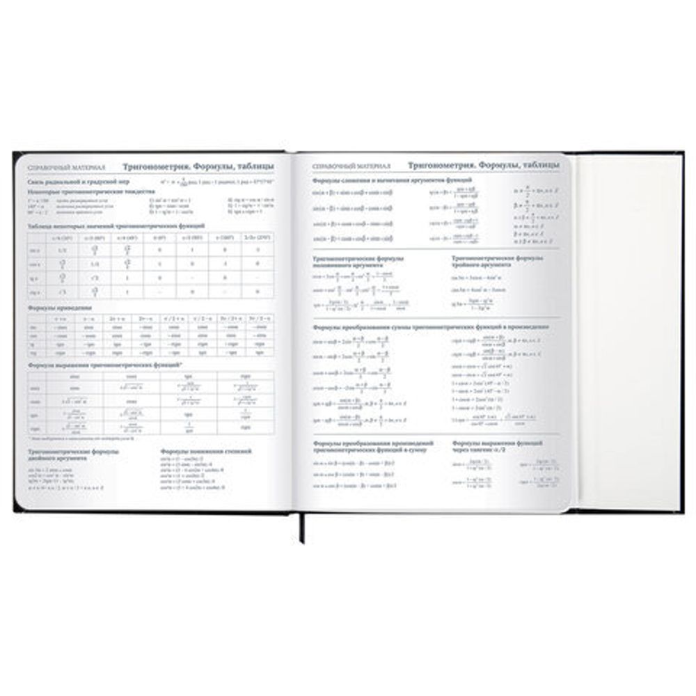 Дневник 1-11 класс 48 л., твердый, BRAUBERG, матовая ламинация, магнитный клапан, закладка-ляссе, с подсказом, "Дракон", 107245