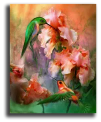 Постер "Кэрол каваларис"