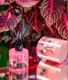 Tropical Garden, аромадиффузор Jungletopia collection, Vila Hermanos