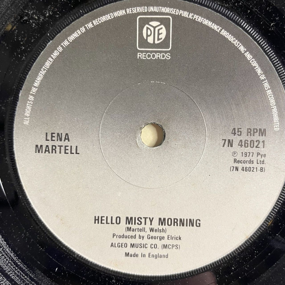 Винтажная виниловая пластинка LP Lena Martell One Day At A Time (UK 1979) 7 дюймов, 45 RPM, Single