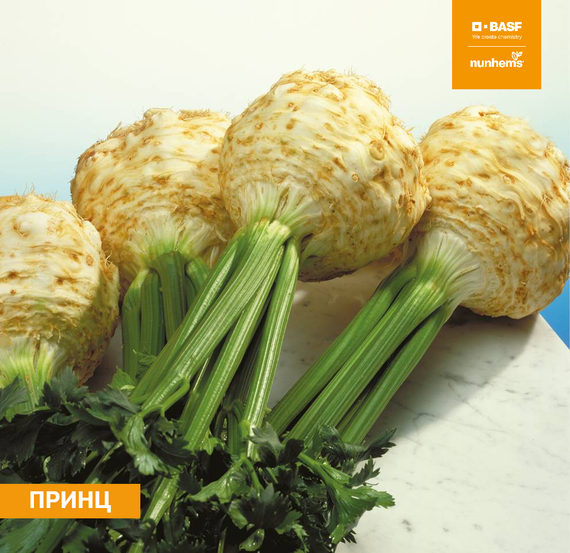 Принц семена сельдерея (Nunhems / ALEXAGRO) культура – фото 1