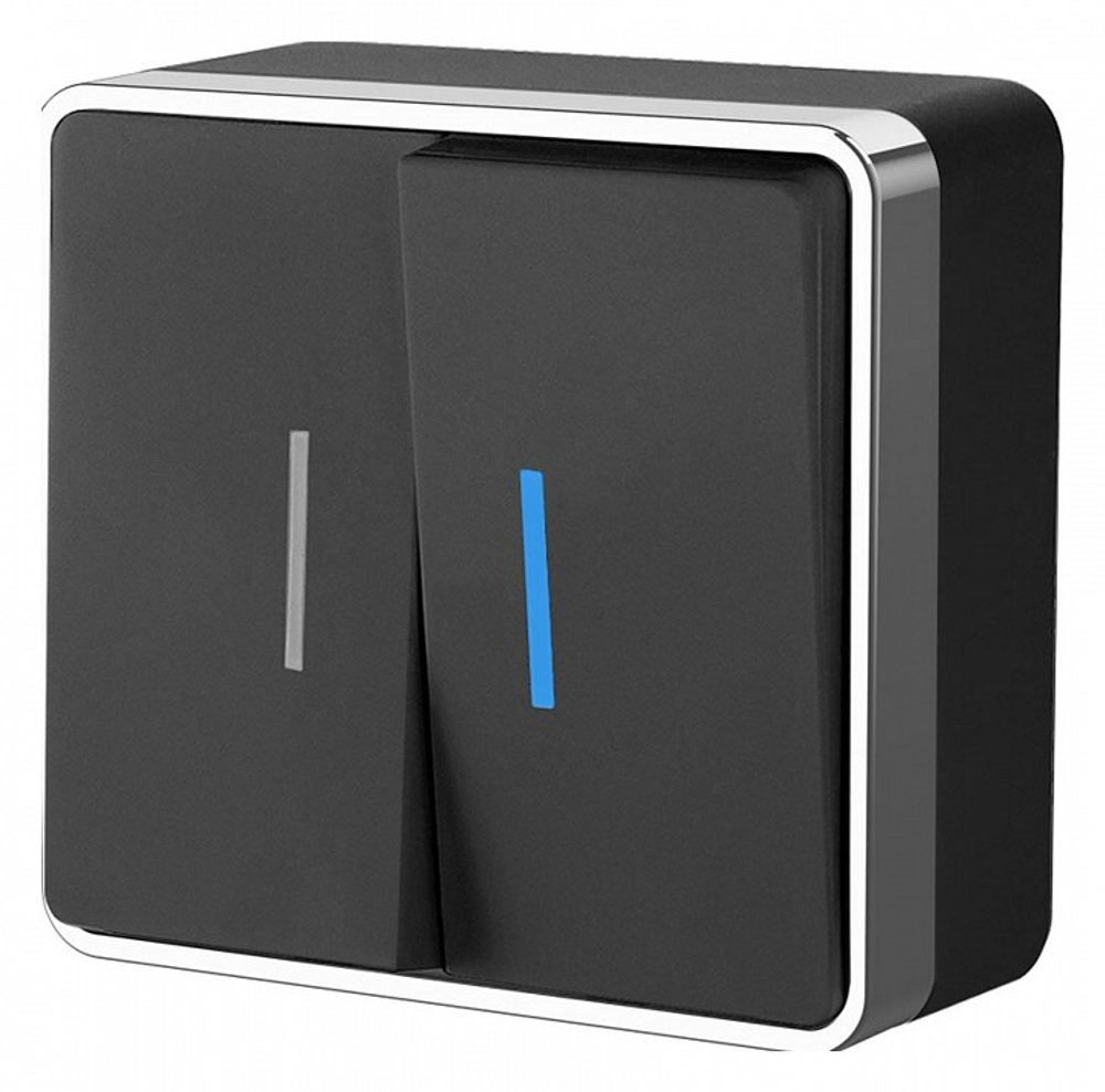 Выключатель двухклавишный Werkel W5020135