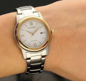 Наручные часы Citizen FE1226-82A