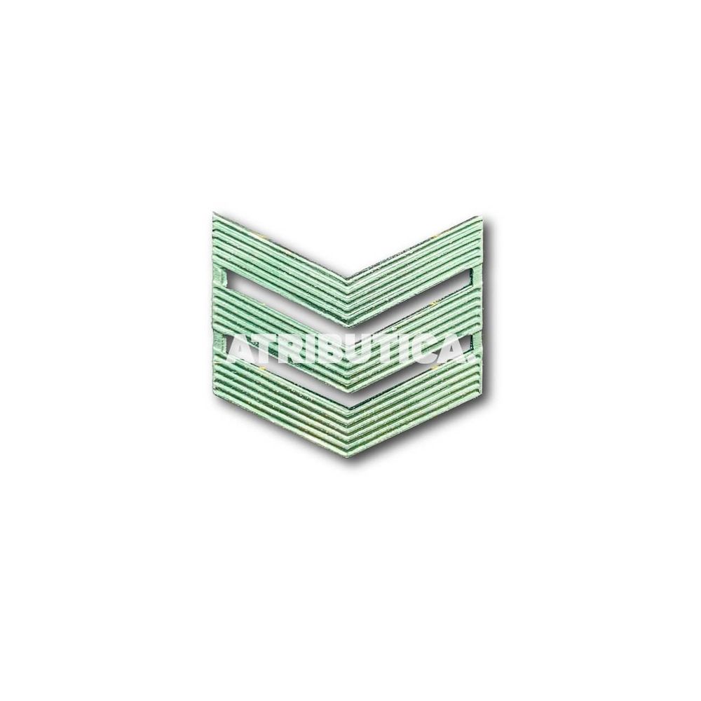 Знак Различия ( Лычка ) На Погон Сержант Защитный | ATRIBUTICASTORE.RU