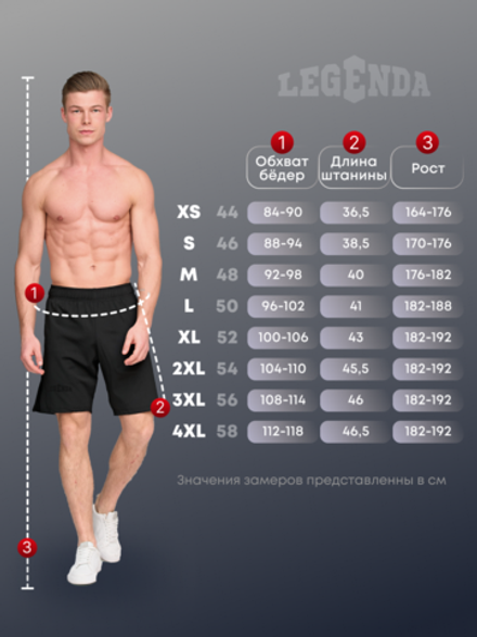 Шорты LEGENDA Urban темно-синий