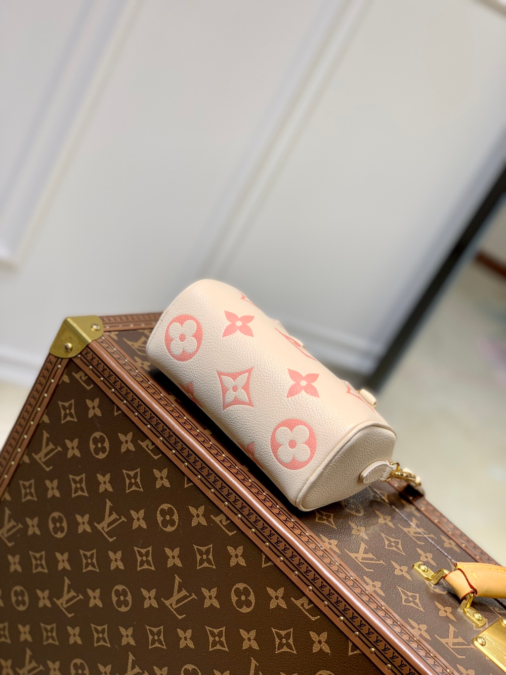 Louis Vuitton Nano Speedy
