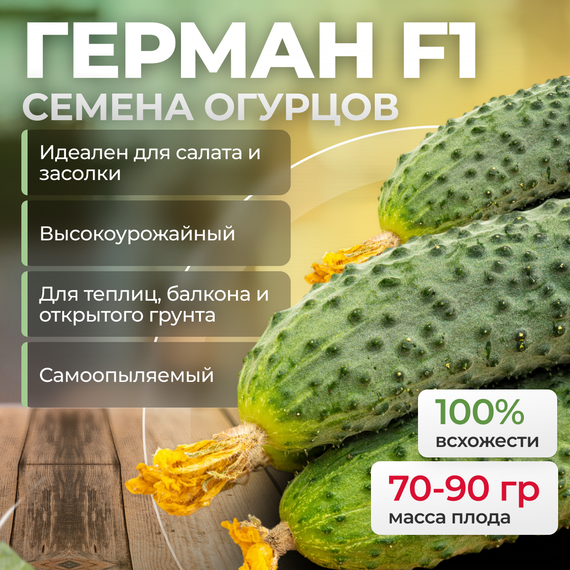 Герман F1 семена огурца (Seminis / ALEXAGRO) культура