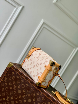 Louis Vuitton Side Trunk MM