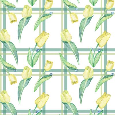 Тюльпан Tulip