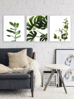 Набор постеров 30х40 растения 3 шт арт 156985535 ТТН 246259067