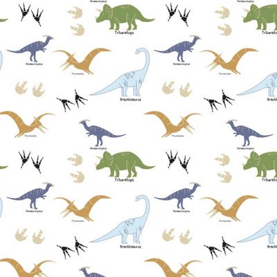 Динозавры следы белый