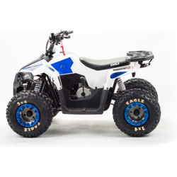 Квадроцикл MOTOLAND 110 Eagle (2021 Г.)