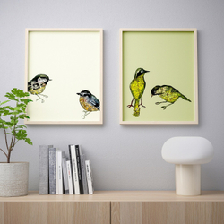 IKEA BILD  (ИКЕА БИЛД)  -  Плакат, Городские птицы II, 40x50 см
