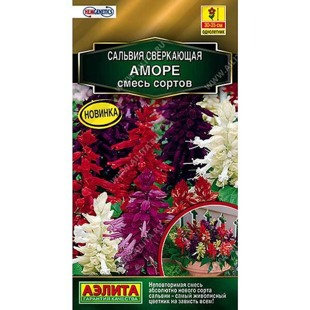 Сальвия Аморе смесь Аэлита Ц