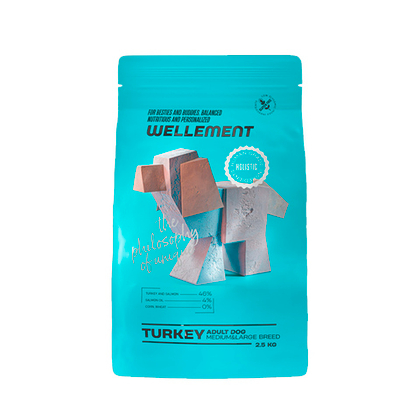 Сухой корм для взрослых собак средних и крупных пород с индейкой Wellement