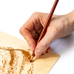 Доски для выжигания 2шт Драконы арт 02794 (Десятое королевство)