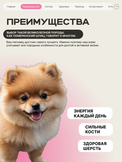 Корм сухой для щенков породы Померанский шпиц, с говядиной, 800 гр, QUATTRO