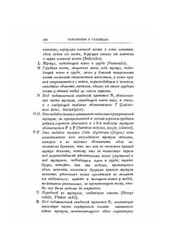 О строении человеческого тела. Классики науки. В 7-ми книгах. Том 1. Книга 2 | В. Андреас