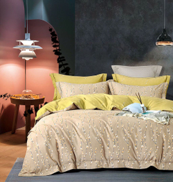 Постельное белье 2 спальное евро Asabella 1831-6