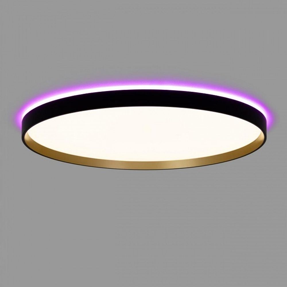 Накладной светильник Citilux ETALON CL750501R