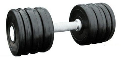 Гантель профессиональная 28 кг