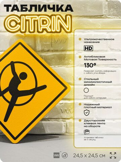 Табличка декоративная "Гимнаст" на дверь и стену, информационная, декоративный знак, 24,5х24,5 см, пластиковая, Айдентика Технолоджи