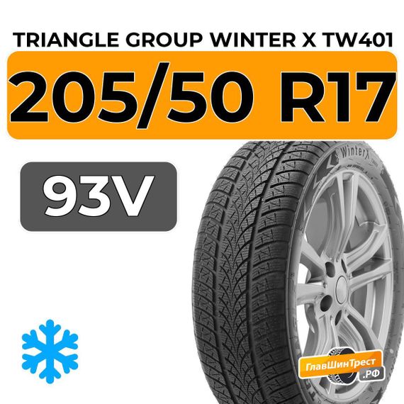 Triangle Group Winter X TW401 205/50 R17 93V XL