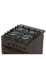 Плита газовая 5500-03 0054