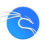 Kali Linux 2025.3 (с лицензионным договором присоединения) (Для платформы x86-64 / USB)