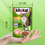 Нежная курочка в соусе влажный корм для кошек KiteKat 85г