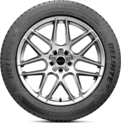 Delinte DS8 315/30 R22 107Y XL