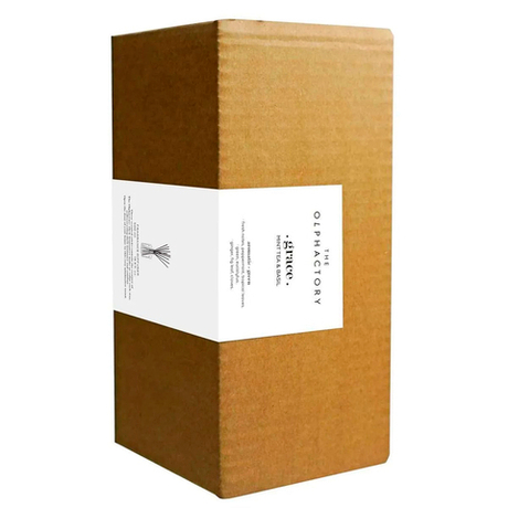 Диффузор ароматический 500мл Ambientair The Olphactory Grace Mint tea & Basil