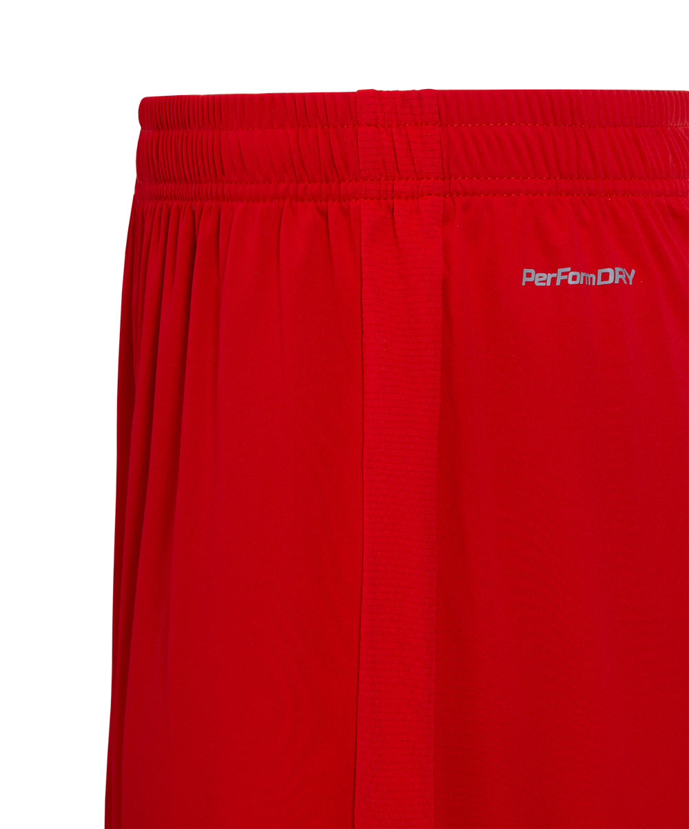 Шорты игровые JOGEL NATIONAL PerFormDRY Home Shorts, красный