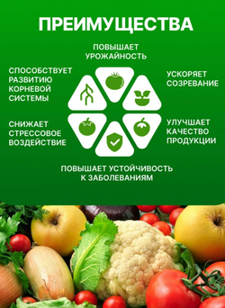 Янтарная кислота стимулятор роста , 5 гр