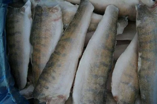 Судак филе с/м 200-300 (1/5) V-срез