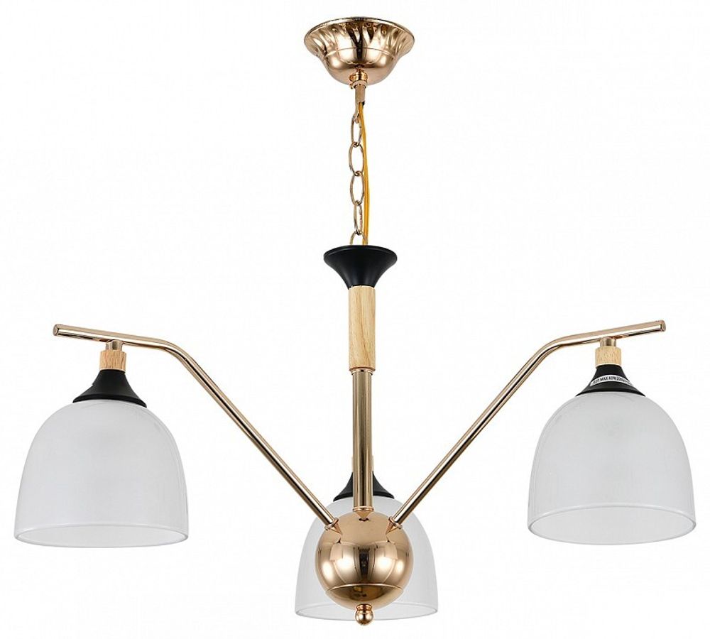 Подвесная люстра Escada Actinidia 2123/3P