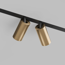 DK8012-BG Акцентный светильник SMART SPOT DOUBLE 2x9W DIM 3000K-6000K, матовое золото с черным