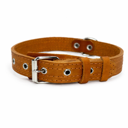 Ошейник для собак средних и крупных пород регулируемый оранжевый