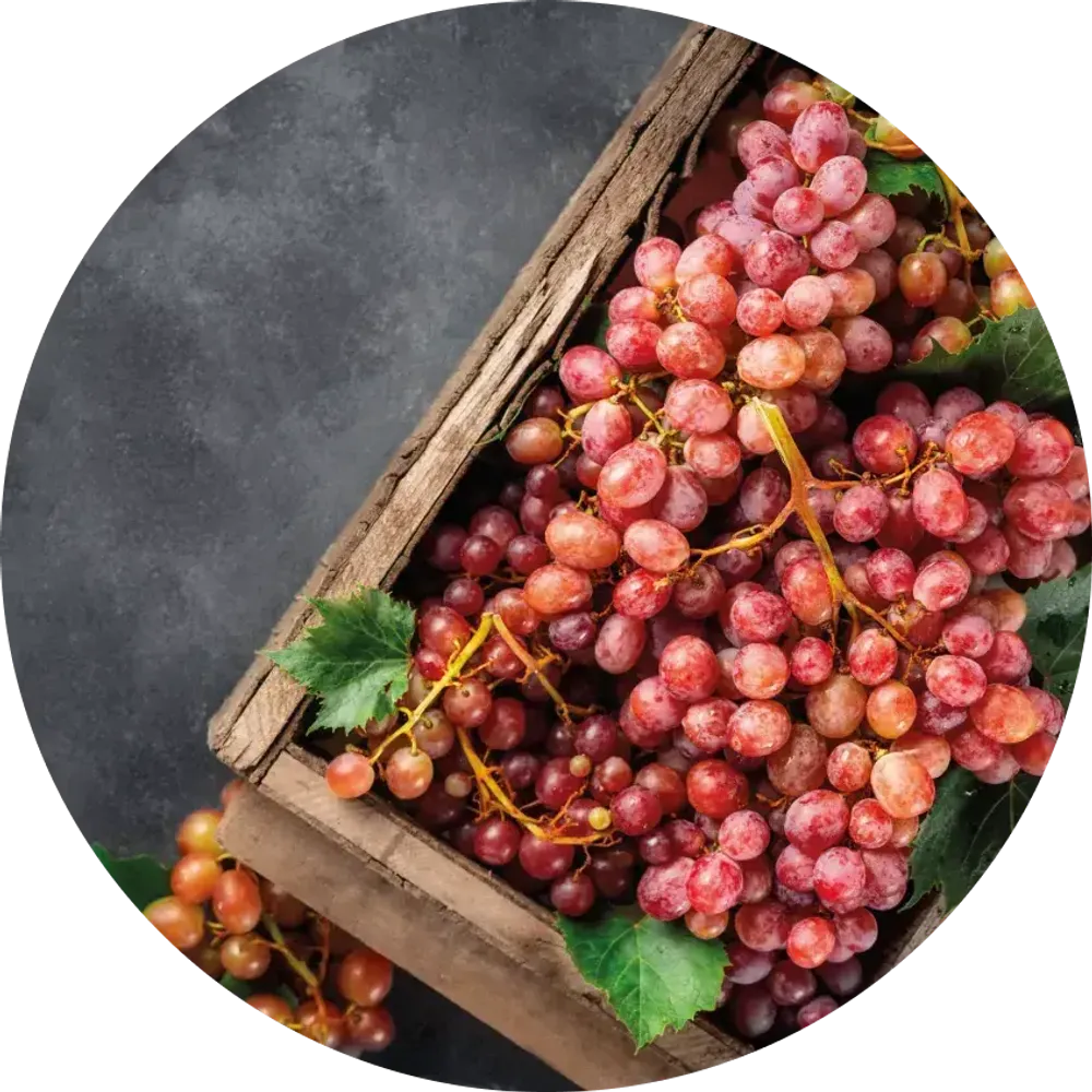 Aircraft CIGAR BLEND - French Grapes (200g)