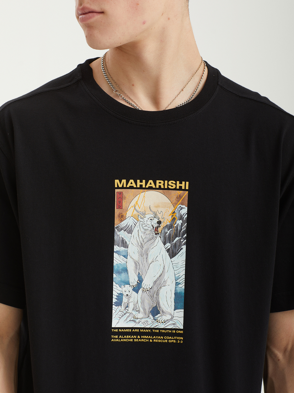 Мужская Футболка Alaskan Polar Bears