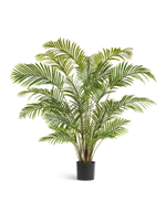 Пальма Арека Хризалидокарпус в-150 см 21 ветка (Sensitive Botanic) 2/2 10.071925N