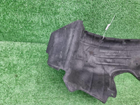 Подкрылок задний правый Toyota Camry xv70 (17-нв)