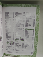 2005 практических советов. Эффективное лечение недомоганий и болезненных состояний домашними средствами