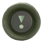 Портативная колонка JBL Flip 6 Squad, камуфляж