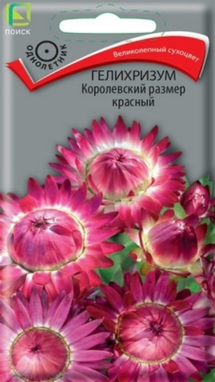 Гелихризум "G. Королевский размер красный" 0.1г., Россия.