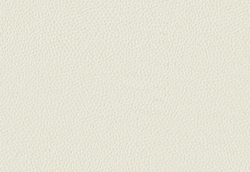 Микрофибра Montana (Монтана) 10