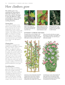 Practical Guide to Pruning, Training and Topiary
