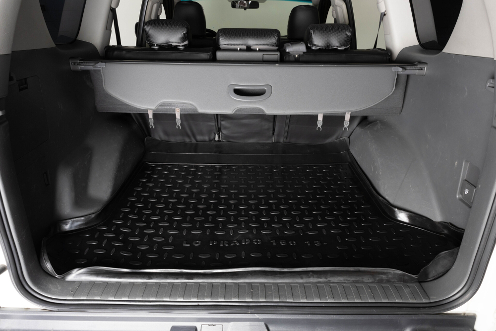 Toyota Land Cruiser Prado, 2010 год