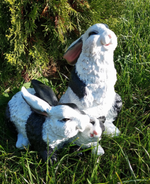 Зайцы семья